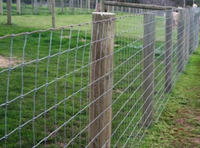 Low Carbon Field Fence - Galvanized & PVC Coated