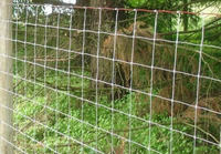 Square Knot Fence for Livestock Farming