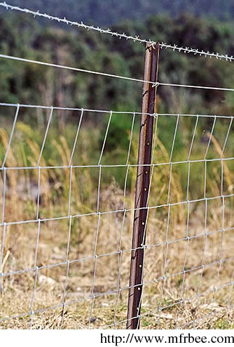 economical_hinge_joints_field_fencing_for_rural_farms