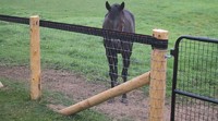 Horse Fencing - Non Climb &amp; Diamond Mesh