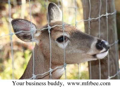 deer_fencing_ideal_for_deer_farming_and_amp_deer_exclusion