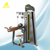 Gym equipment machine-biceps gym equipment,triceps fitness equipment,biceps exercise equipment,triceps exercise machine