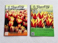 Advertising brochure printing online folded flyer printing company in china