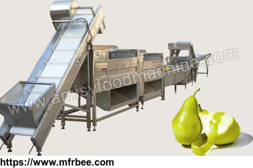 fruit_and_vegetable_washing_and_peeling_processing_line