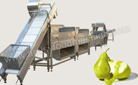 Fruit & Vegetable Washing and Peeling Processing Line