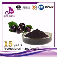 Acai Berry powder extract 4:1,10:1,20:1