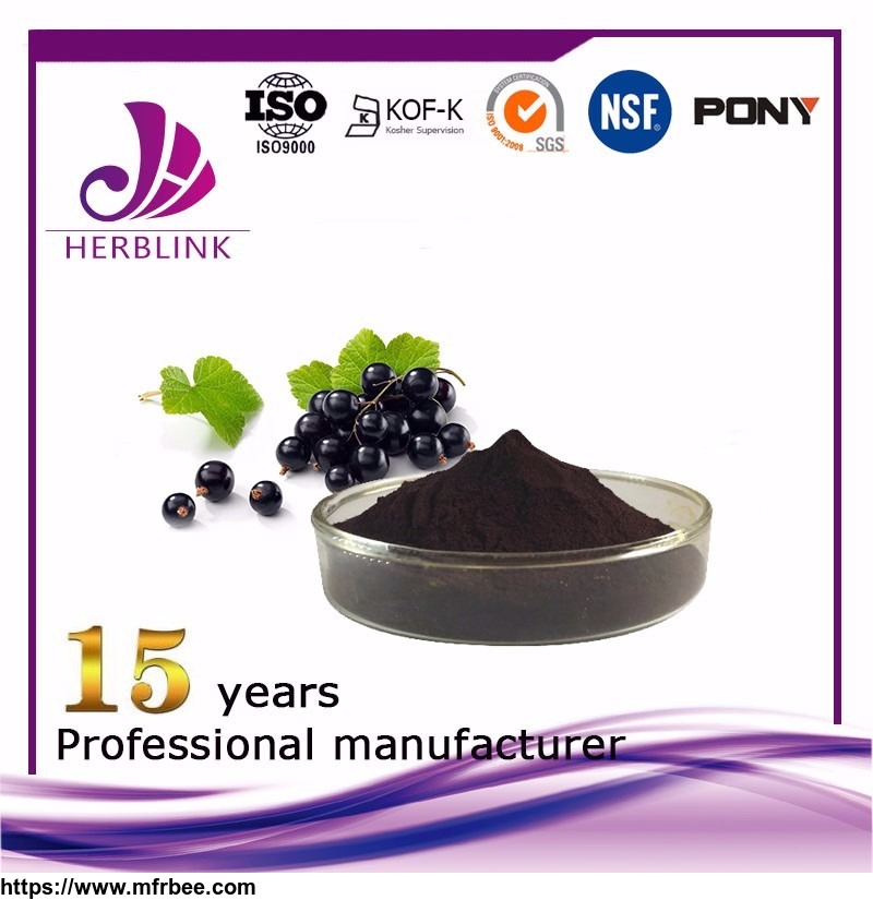 black_currant_extract_anthocyanin_25_percentage