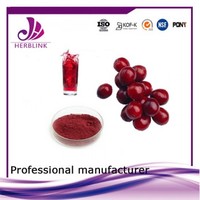 cranberry extract powder