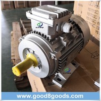more images of Ms 370W AC electric Motor