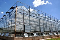 more images of Steel Structure Greenhouse
