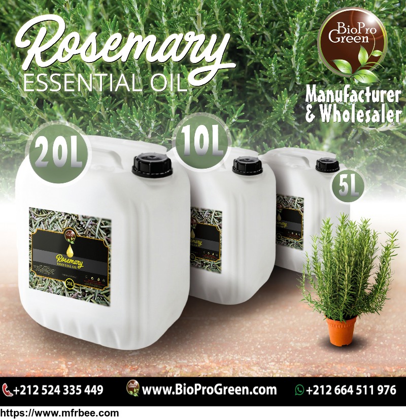 rosemary_essential_oil