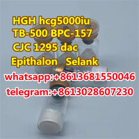 HGH HCG5000iu bpc-157 CJC1295 Epithaol selank