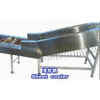 Wafer production line-vertical-type wafer sheet cooler LPL