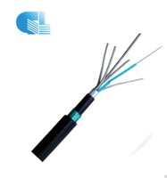 more images of 48 core Armored Direct Burial gyta53 fiber optical cable