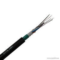 ps2 aerial armoured PE out sheath 2 core GYTS fiber optic cable