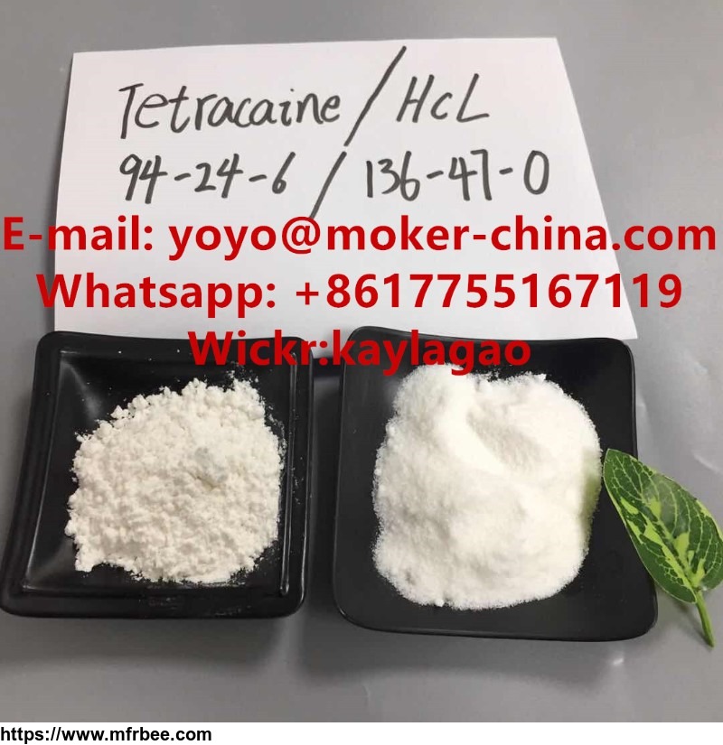 anesthetic_material_tetracaine_hcl_powder_cas_136_47_0_94_24_6_with_100_percentage_pass_express