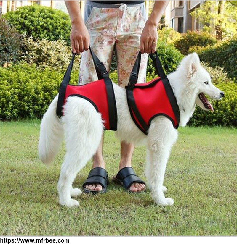 pet_dog_protection_harness_belt_for_older_dog_and_hurt_dog_helping_walking