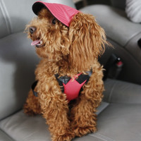 more images of Adjustable Pet Dog Baseball Cap Hat With Ear Holes,Canva Baseball Pet Dog Hat