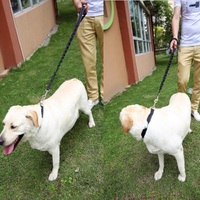 more images of Dog Safety Elasticity Leash Rope and Collar set ,Dog Walking Leash Rope and Neck Collar set