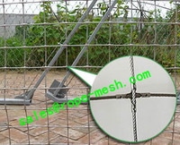 more images of Stainless steel square rope mesh