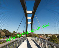 Suspension Bridge Railing Mesh