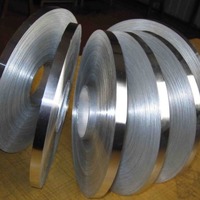 more images of Stainless Steel Strips