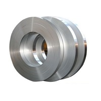 more images of Stainless Steel Strips
