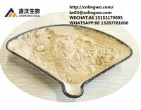 CAS 52190-28-0 1-(benzo[d][13]dioxol-5-yl)-2-bromopropan-1-one New bmk pmk powder