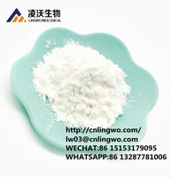 CAS 5449-12-7 BMK Glycidic Acid (sodium salt) bmk powder