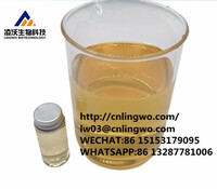CAS 91393-49-6 2-(2-chlorophenyl)cyclohexanone bmk pmk oil