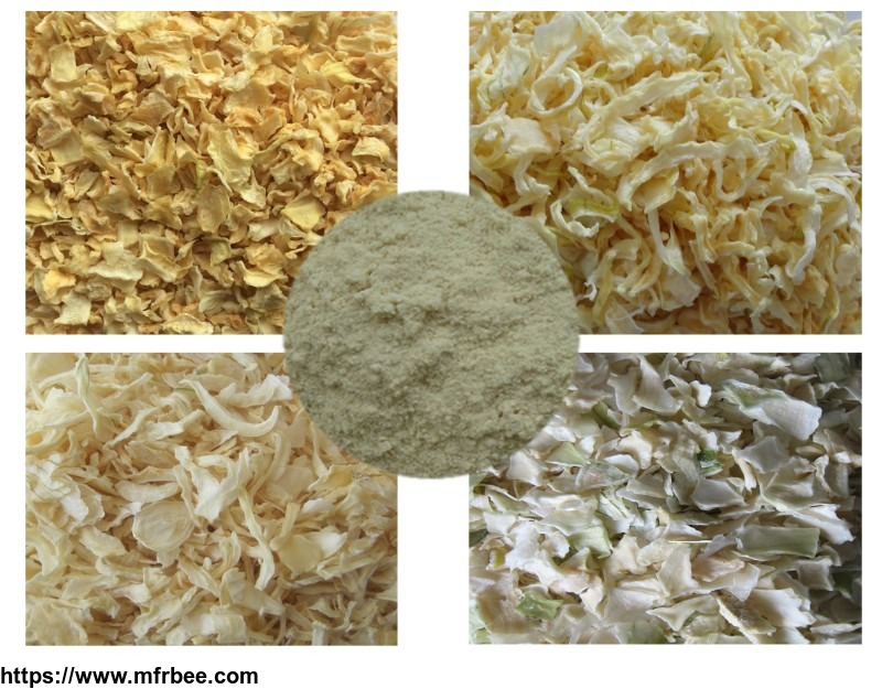 chinese_dehydrated_dried_white_yellow_onion_slice_flake_powder_strips