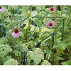Flower Links plant supports for flower, shrubs and vegetables