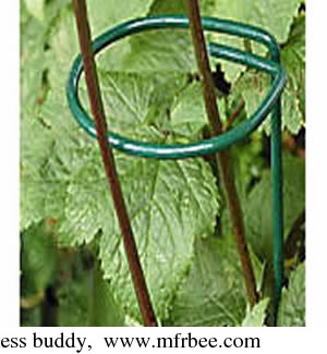 single_ring_and_stem_plant_supports_for_sunflower_and_daisy