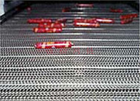 Hot SALE stainless steel conveyor belt chain conveying equipment
