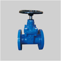 more images of AWWA C509 125S ductile iron resilient seat gate valve NRS flanged ends
