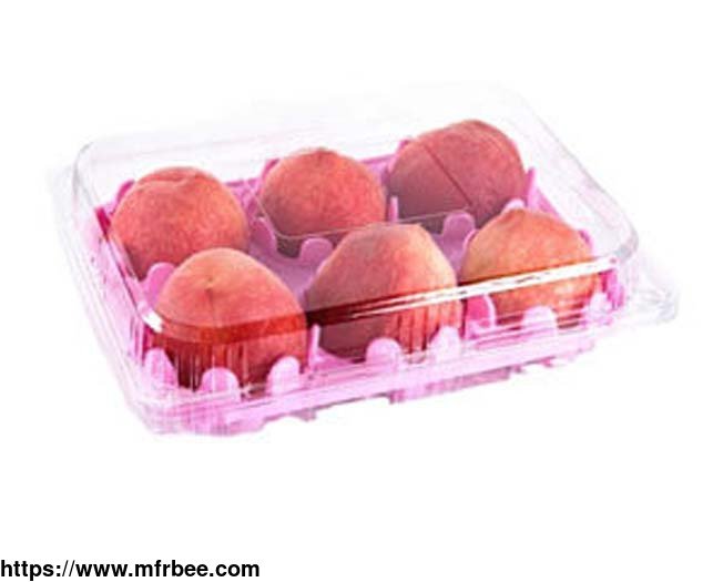 biodegradable_food_packaging_used_in_fresh_fruit_and_vegetable_store