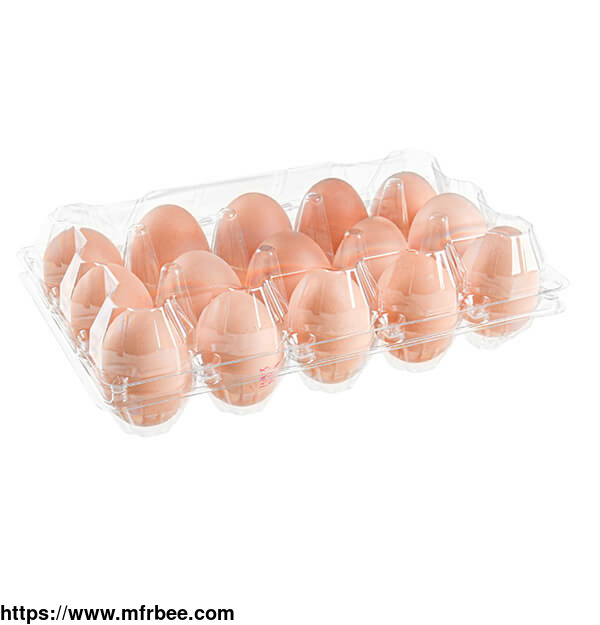 disposable_egg_tray
