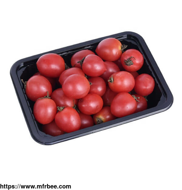 disposable_food_tray