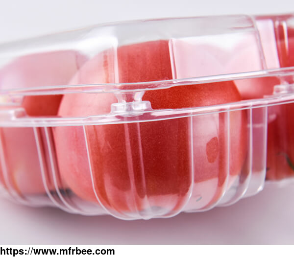 black_round_plastic_disposable_food_vegetable_storage_containers