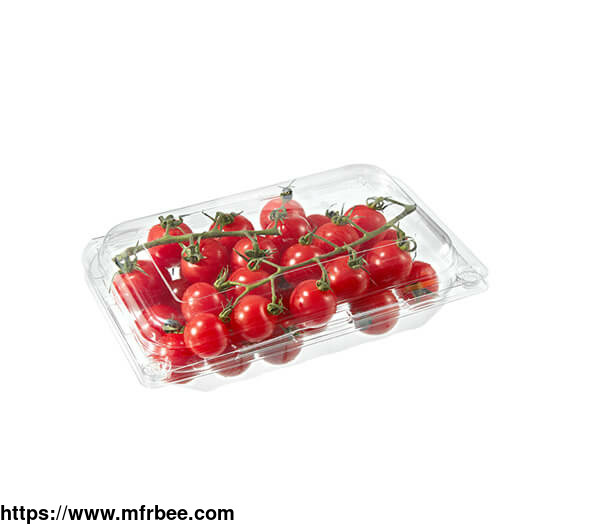 custom_disposable_fruits_vegetable_transparent_disposable_pet_plastic_food_packaging_boxes