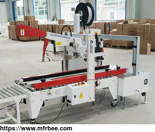 lined_carton_packing_machine
