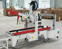 more images of LINED CARTON PACKING MACHINE