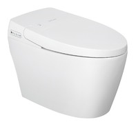 more images of intelligent toilet