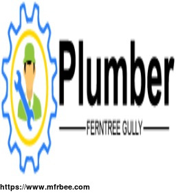 plumber_ferntree_gully