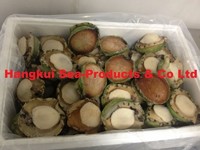 more images of Live Abalones