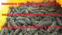 more images of Dried Sea Cucumbers