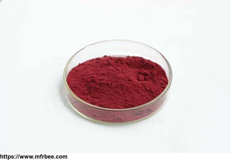 anthocyanin_36_percentage_bilberry_extract_dried_blueberry_powder_extract