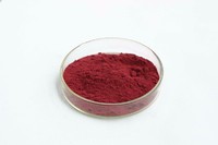 Anthocyanin 36% bilberry Extract / Dried Blueberry powder Extract