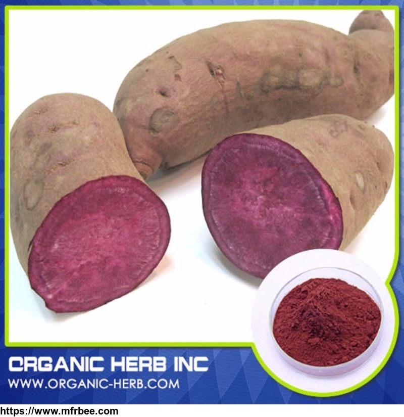 food_grade_purple_sweet_potato_pigment_powder