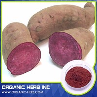 more images of Food Grade Purple sweet potato pigment Powder